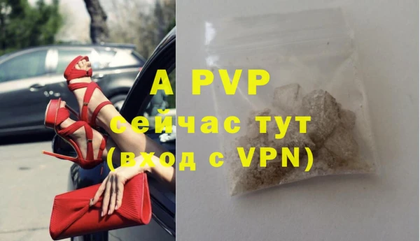 PSILOCYBIN Нефтекумск