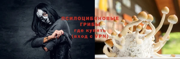 PSILOCYBIN Нефтекумск