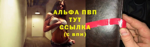 PSILOCYBIN Нефтекумск