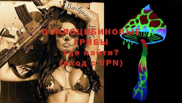 PSILOCYBIN Нефтекумск