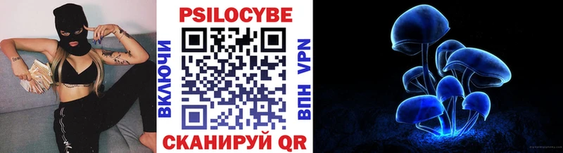 Псилоцибиновые грибы ЛСД  магазин  наркотиков  Черногорск 